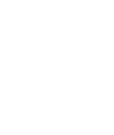 dr fabio
